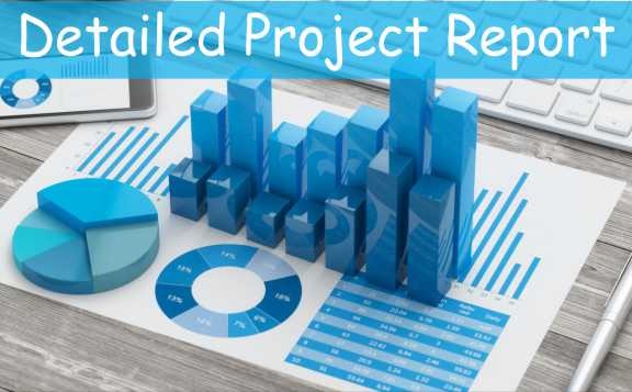 Project Report